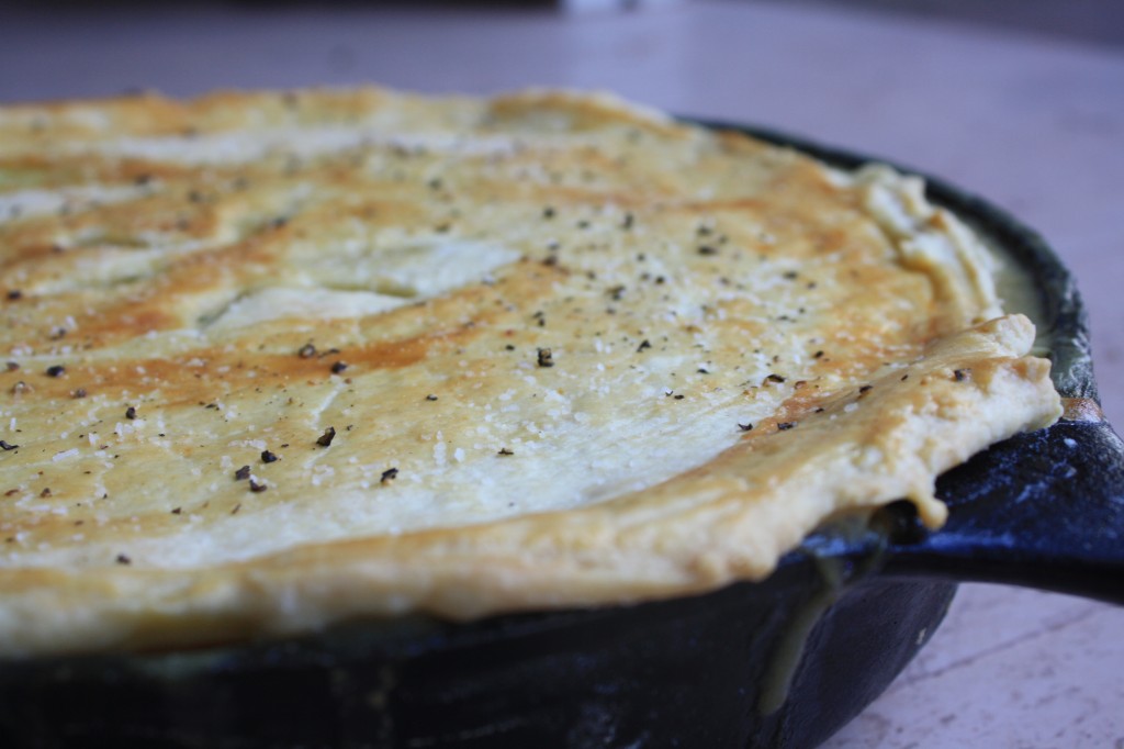 chickenpotpie