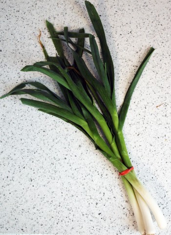 Green garlic stalk
