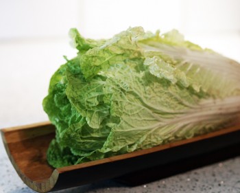 Napa Cabbage