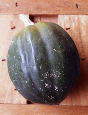 Acorn squash