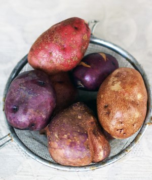 Blooming Glen Potatoes