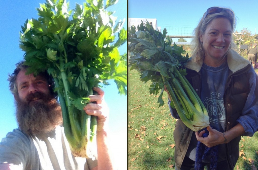 Farmer Tom and washer extraordinaire Jackie with massive celery.