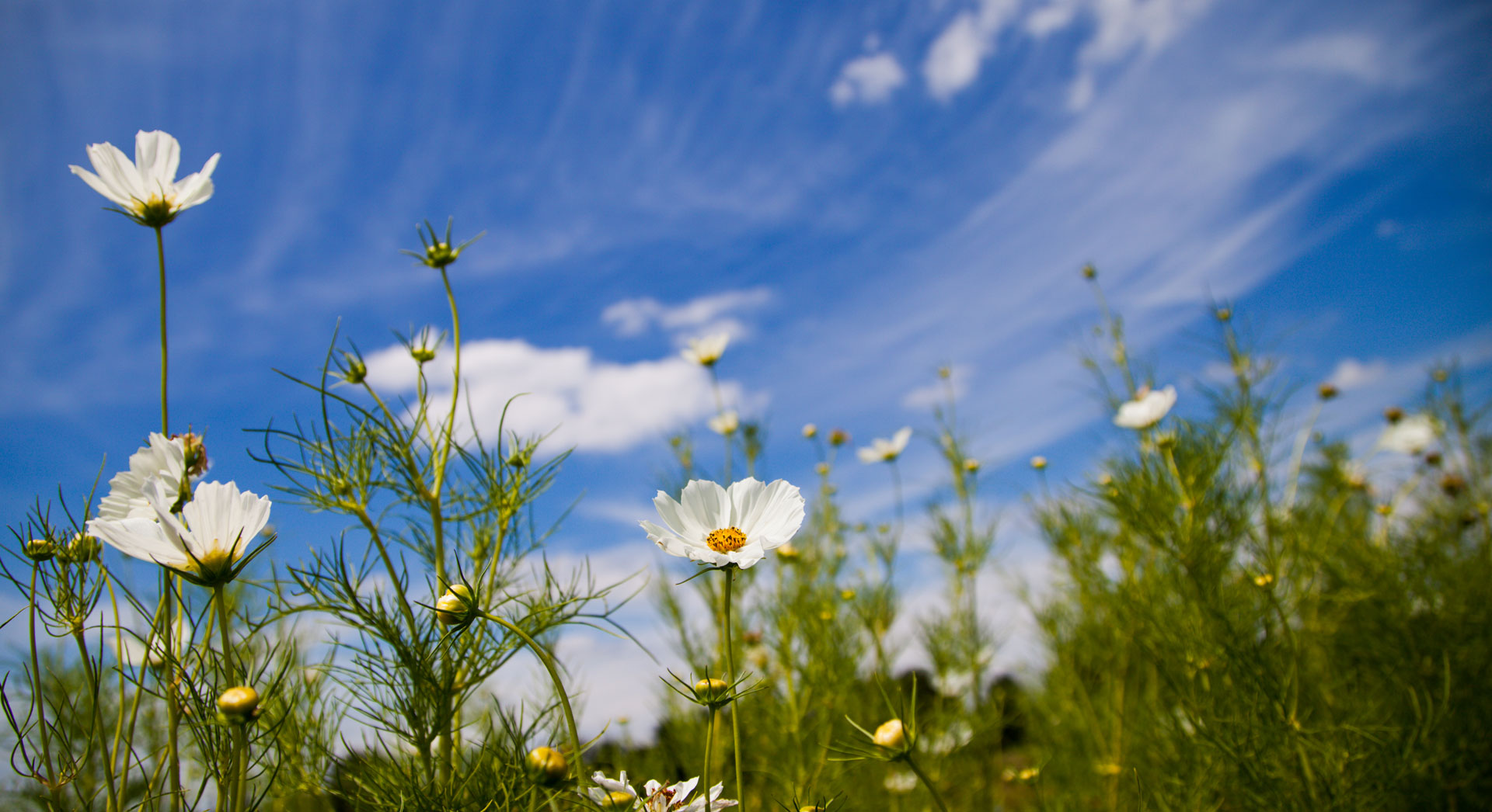 From our farm to your home