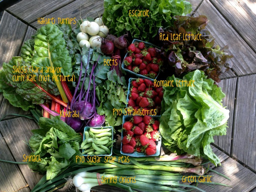 CSA on-farm share, week #2, 6/7/16.