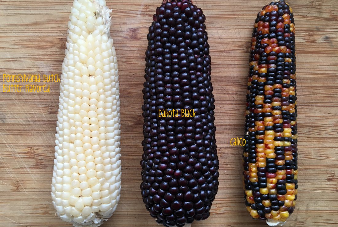 The Popcorn Farm